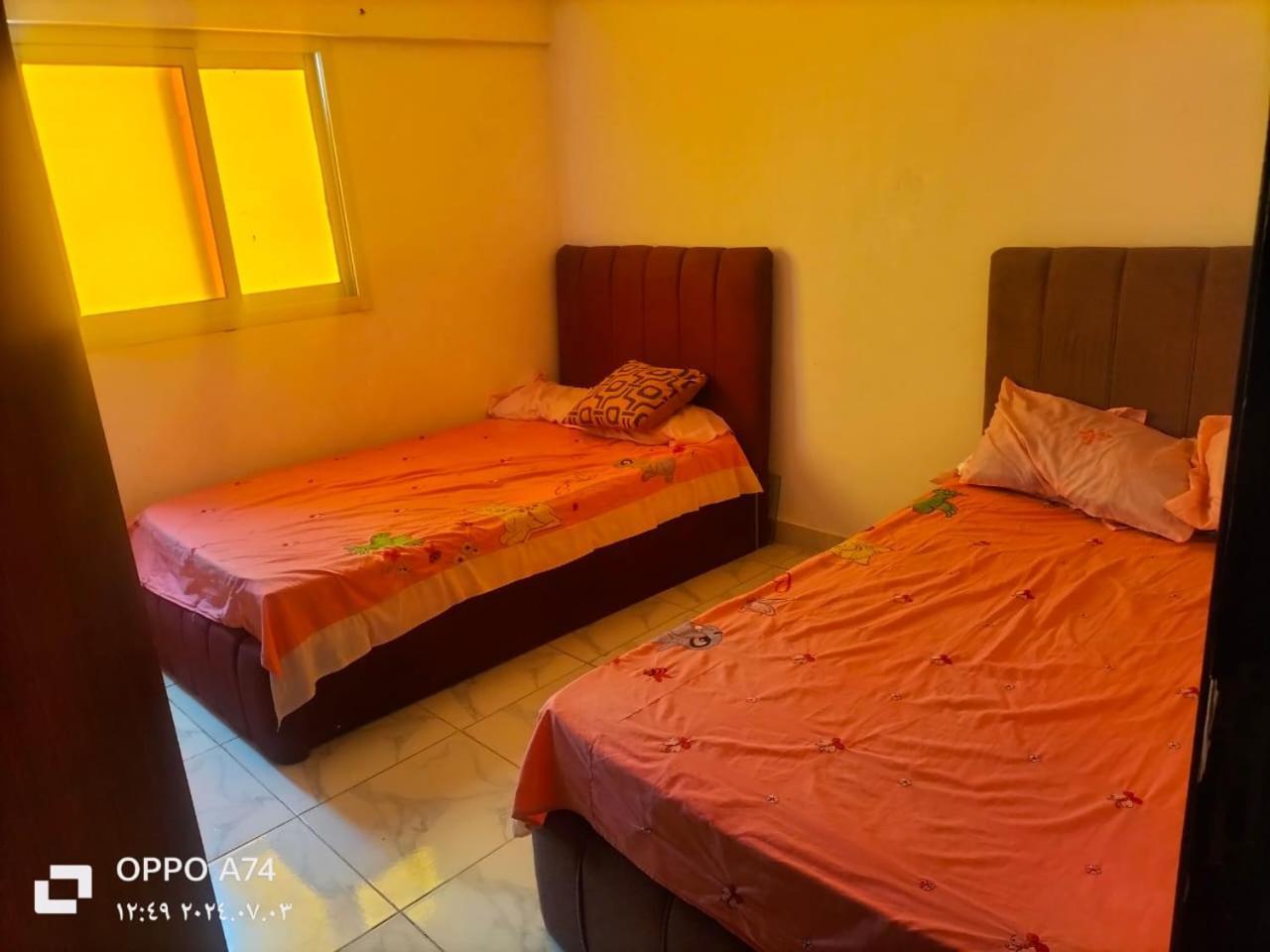Flores Casas De Playa İskenderiye Dış mekan fotoğraf